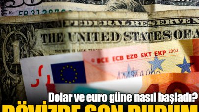 Dolar ve euro kaç lira? 29 Ağustos alış ve satış fiyatları