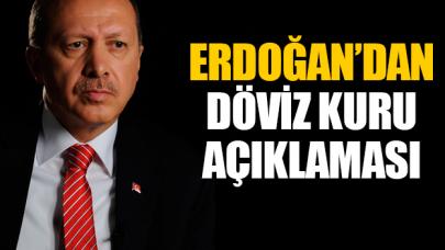 Erdoğan'dan döviz kuru mesajı