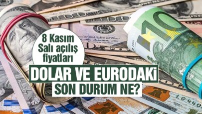 8 Kasım 2022 Salı dolar ve euro güne nasıl başladı? Alış ve satış fiyatları