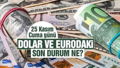 25 Kasım 2022 Perşembe dolar ve euro ne kadar? Alış ve satış fiyatları