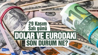 29 Kasım 2022 Salı dolar ve euro ne kadar? Alış ve satış fiyatları