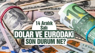 14 Aralık 2022 Saı dolar ve euro kaç lira? Döviz kuru alış ve satış fiyatları