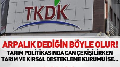 Arpalık dediğin böyle olur