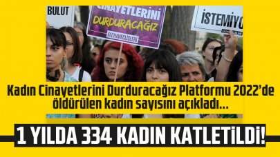 2022'de 334 kadın katledildi