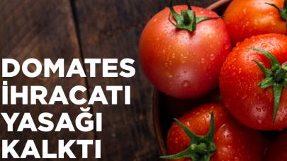 Domates ihracatı yasağı kalktı