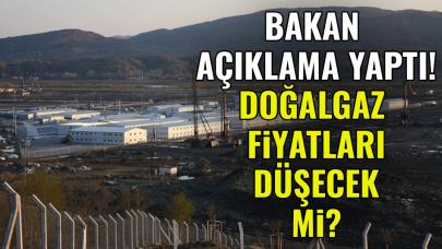 Bakan açıklama yaptı, doğalgaz fiyatları düşecek mi?