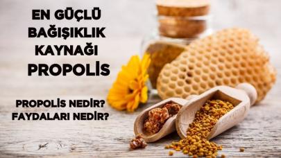 En Güçlü Bağışıklık Kaynağı: Propolis