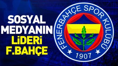 Sosyal medyada ağustos lideri Fenerbahçe