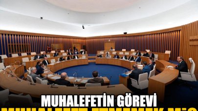 Muhalefetin görevi muhalefet etmemek mi?