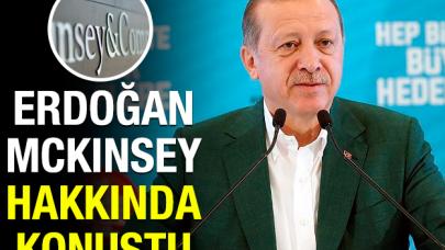 Erdoğan'dan McKinsey açıklaması