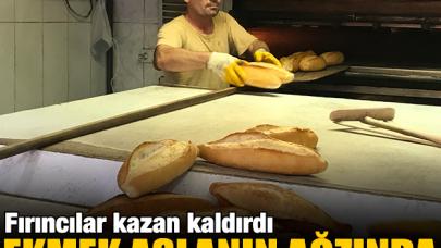 Ekmek aslanın ağzında