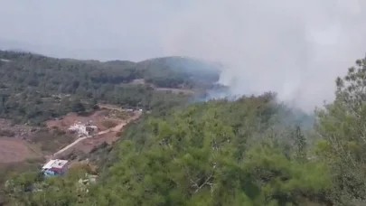 Hatay Arsuz'da Orman Yangını: Ekipler Havadan ve Karadan Seferber Oldu