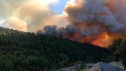 Balıkesir'e sıçrayan orman yangını kontrol altına alındı