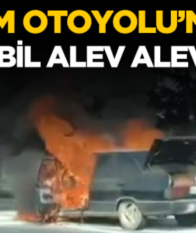 TEM Otoyolu'nda otomobil alev alev yandı!