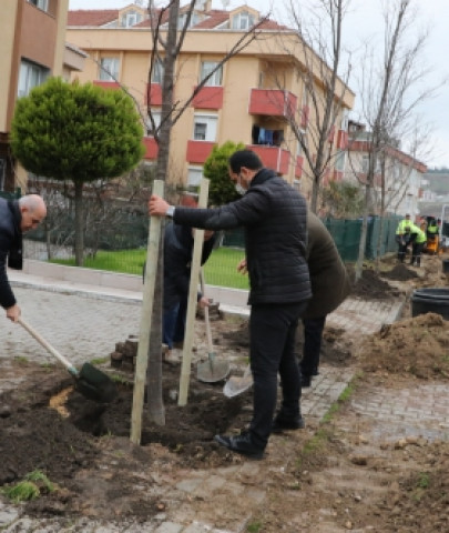 Büyükçekmece'den 2022 yılına 22 ağaç