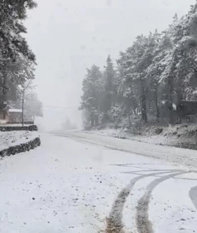 Aydos Ormanı'nda kar yağışı etkisini gösterdi: Pendik, Kartal, Kurtköy beyaza büründü