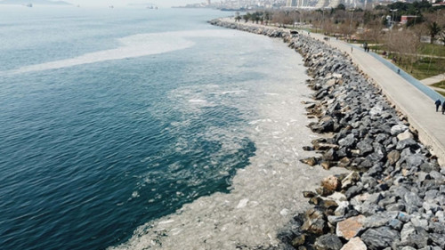 Pendik ve Kartal sahilindeki 'kirliliğin'' nedeni belli oldu