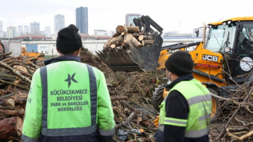 Küçükçekmece'de budanan ağaçlar evlere yakacak oluyor