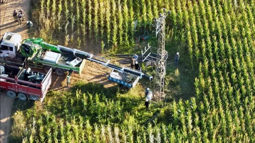 Şanlıurfa'da Kaçak Elektrik Operasyonu! Tarlalarda 750 Haneyi Besleyecek Güçte 15 Kayıt Dışı Trafo Bulundu