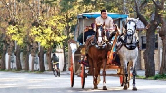 Adalar’da fayton yerine elektrikli araç kullanımı başlıyor