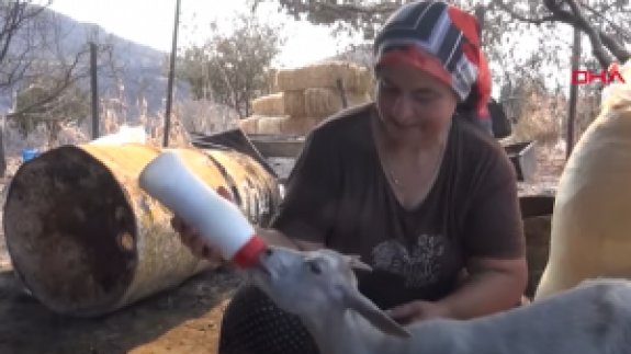 Alevlerin Arasından Biberonla Beslediği Oğlağıyla Kaçtı