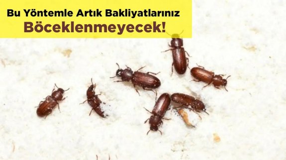 Bu Yöntemle Artık Ürünleriniz Böceklenmeyecek!