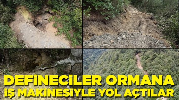 Defineciler yine iş başında: Ormana iş makinesiyle girip yol açtılar