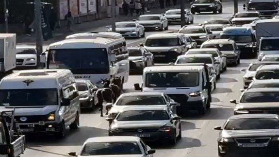 İstanbul trafiğinde görenleri şaşkına çevirdi: Atlar refüjde otladı, trafiğe karıştı