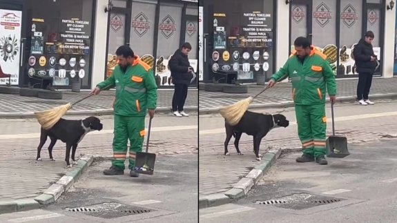 Temizlik görevlisi sokak köpeğini süpürgesi ile kaşıyıp sevdi: O anlar yürekleri ısıttı