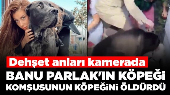 Köpeği komşusunun köpeğini öldüren Banu Parlak'tan açıklama: 'Köpeğim şiddete maruz kaldı'