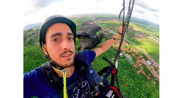 Bir akbaba, 100 fit yükseklikte yamaç paraşütçüsünün üzerine konuyor.