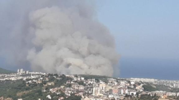 Hatay'da orman yangını; yerleşim yerlerine yaklaştı