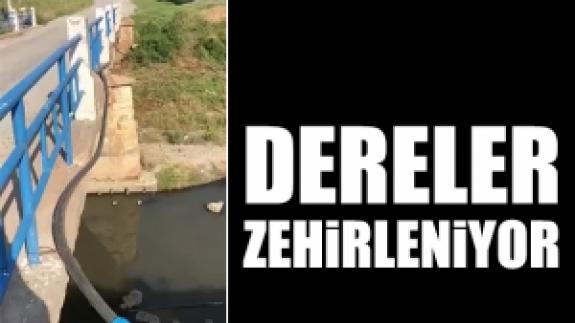 Silivri'de dereler zehirleniyor