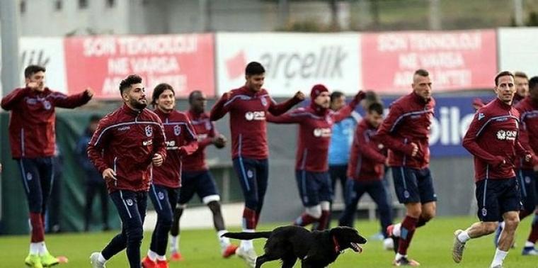 Trabzonspor transfere başladı! İki isim imza attı... 21