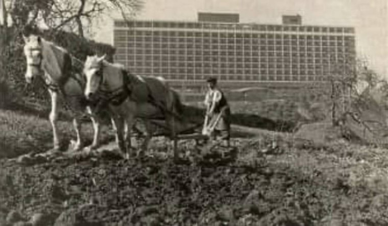 Bir zamanlar ünlüler, bir zamanlar İstanbul 8