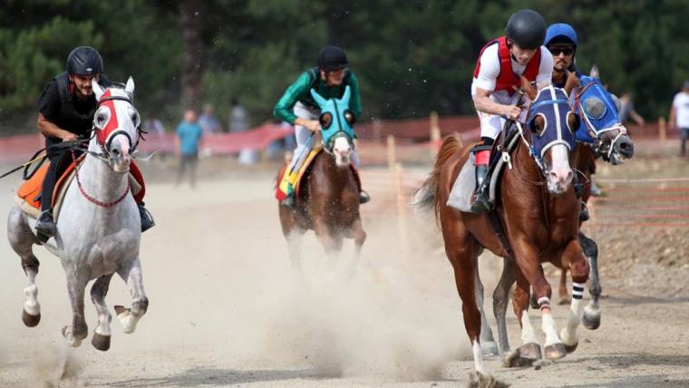 8 Haziran 2023 Perşembe Ankara at yarışı tahminleri ve programı 2