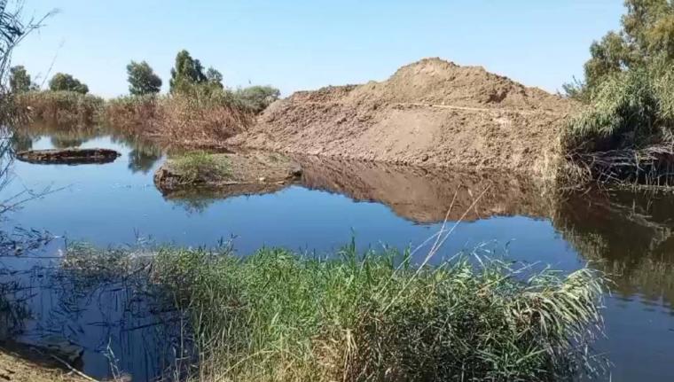 Türkiye'nin en önemli sulak alanında korkutan görüntü: 'Önlem almazsa ekolojik yapı çökecek' 4