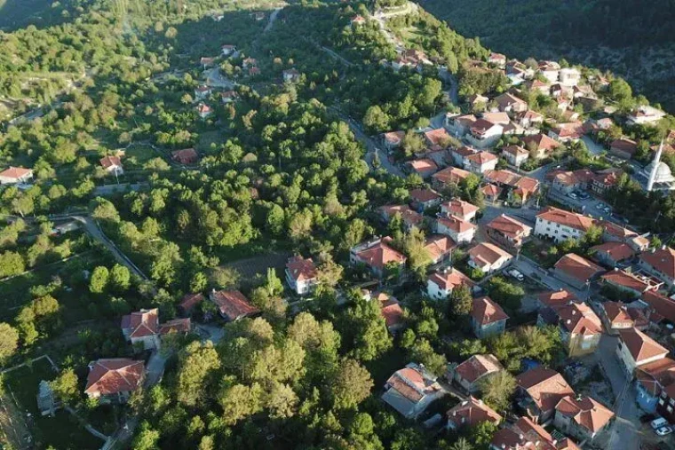 Dünyanın En İyi Turizm Köyü seçildi! Ormana nerede? 1