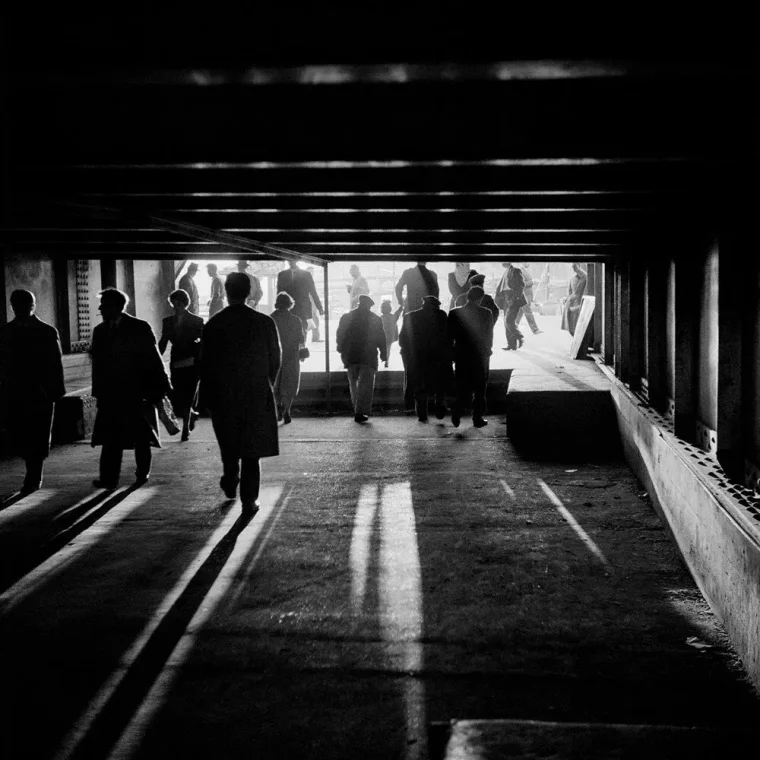 Ünlü fotoğrafçı Ara Güler'in İstanbul'u fotoğrafladığı "İstanbul Uyanıyor" sergisi açıldı 5