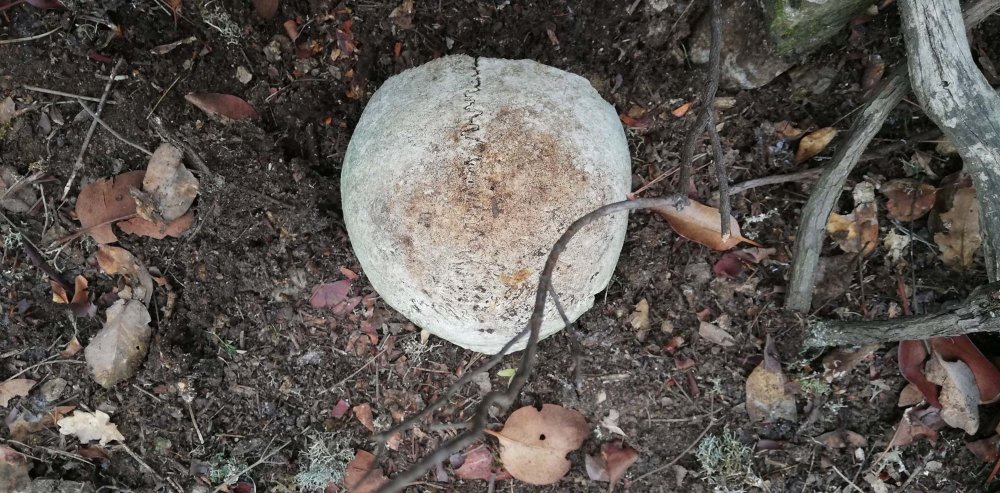 Çanakkale'de yeni şehitlik bulundu