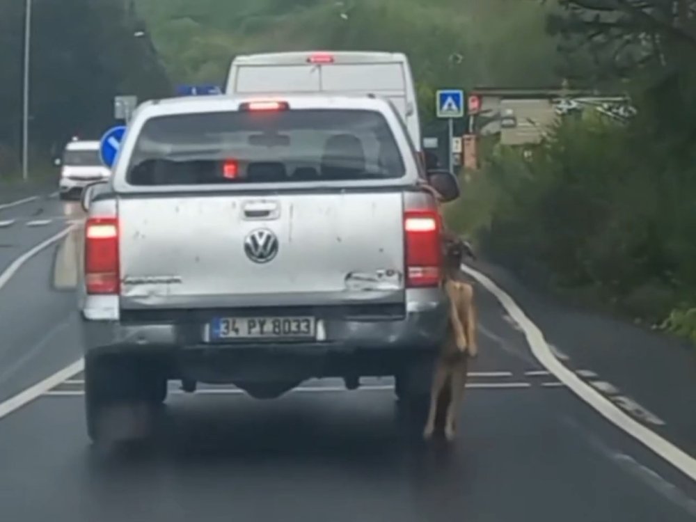 Seyir halindeki araçta, köpeği böyle taşıdılar!