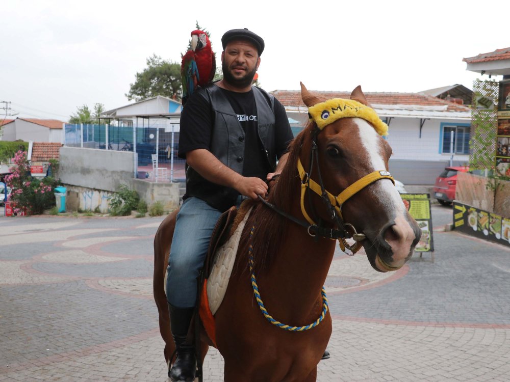 Denizli'de bir kişi oy kullanmaya atı ve papağanı ile gitti