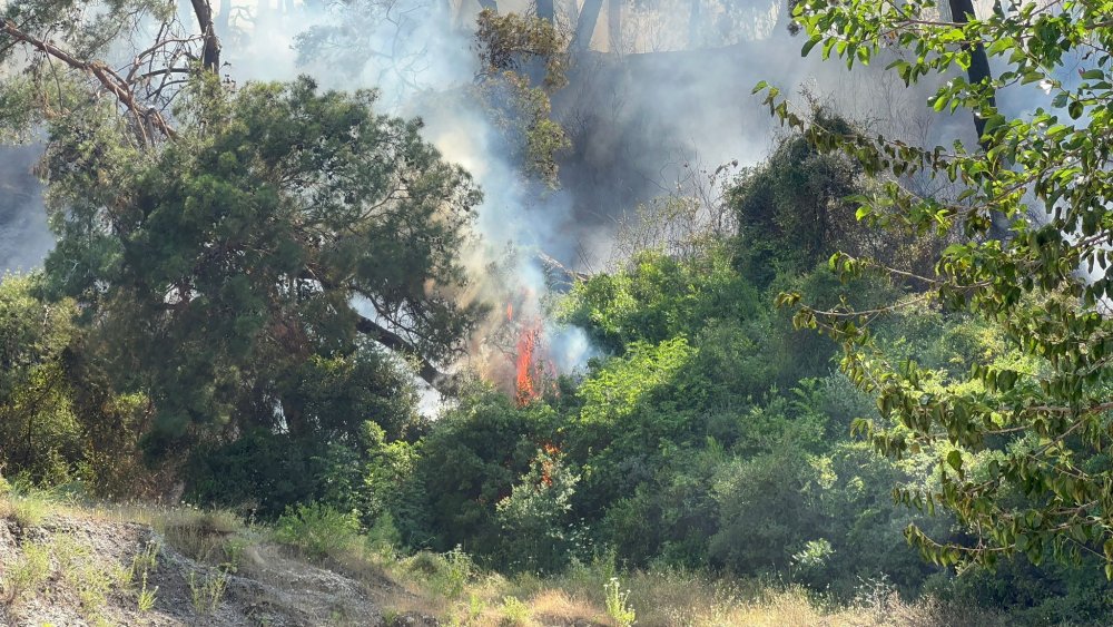 Antalya'daki orman yangını büyüyor