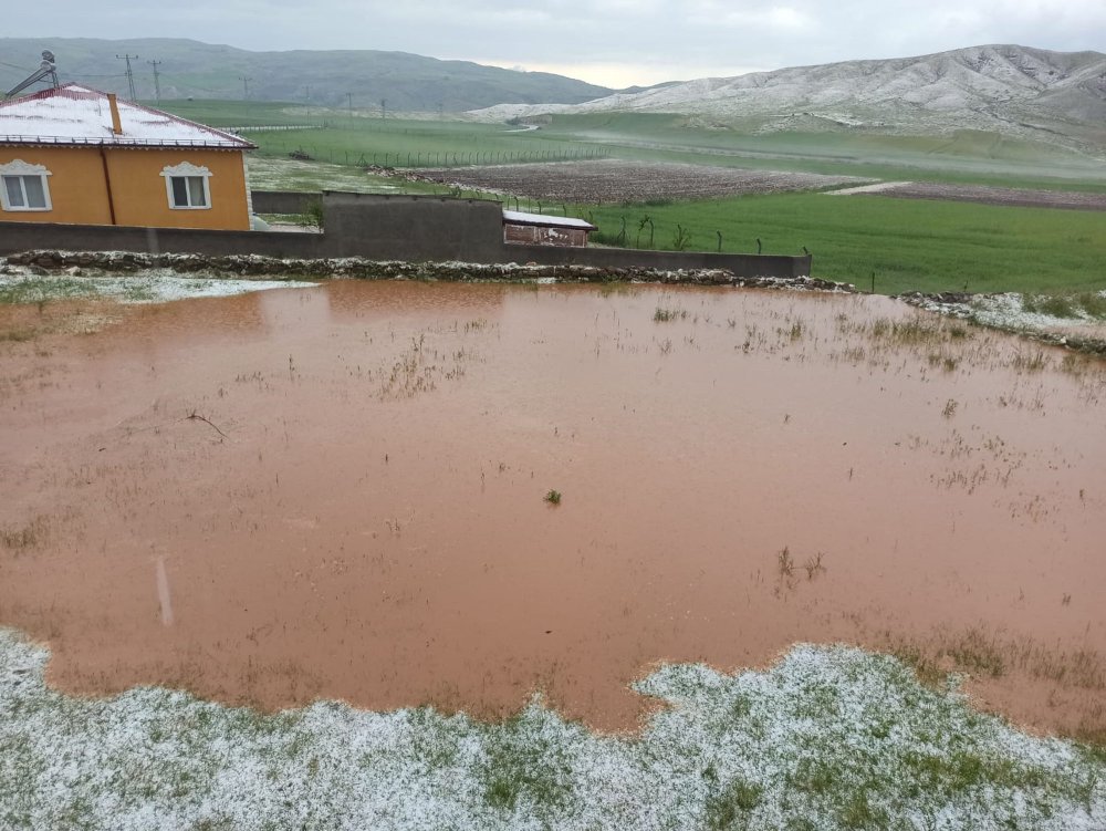 Yağışlar çiftçiye umut yerine 'kabus' oldu