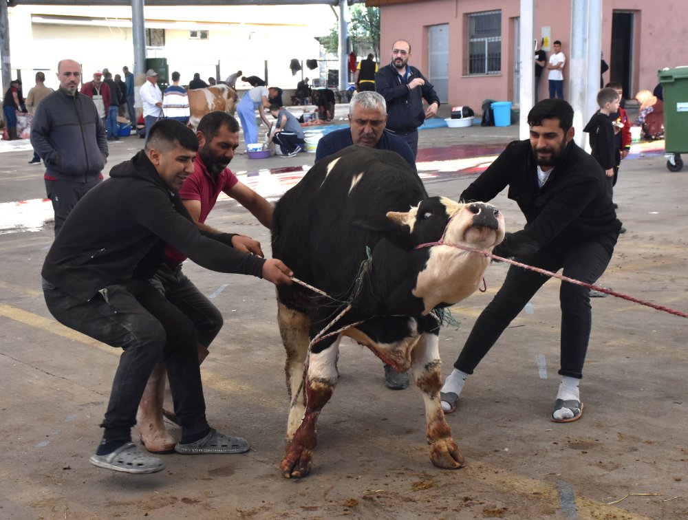 Kurban kesim yerlerinde büyük hareketlilik