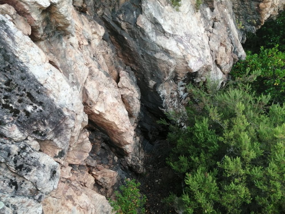 15 gündür aranan Berzeg için yeni umut: Ekipler seferber oldu