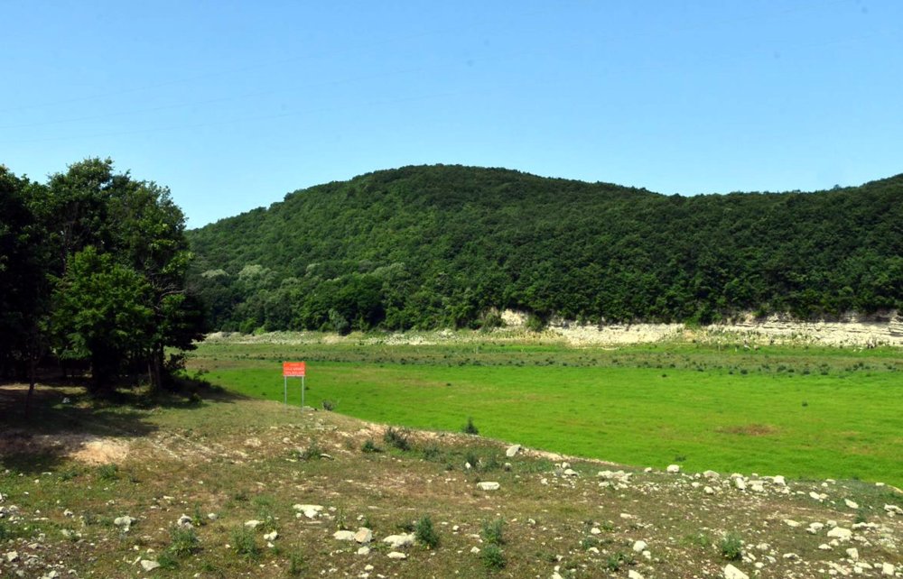 Megakentte ürküten manzara: Kuruyan barajda hayvanlar otluyor!