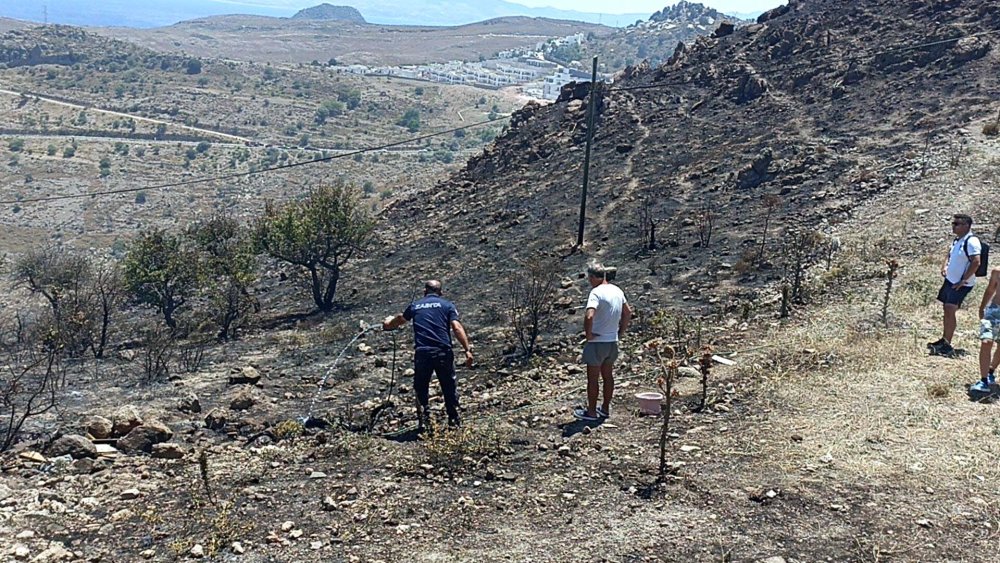 Bodrum'da 5 hektarlık alan yandı