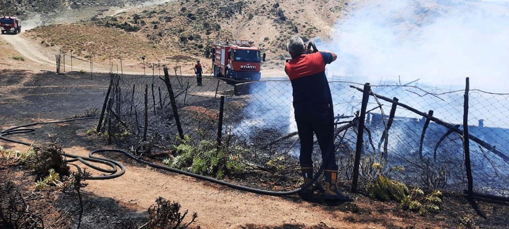 150 oğlak telef oldu