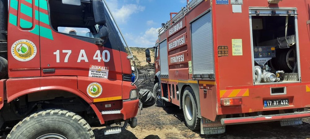 150 oğlak telef oldu